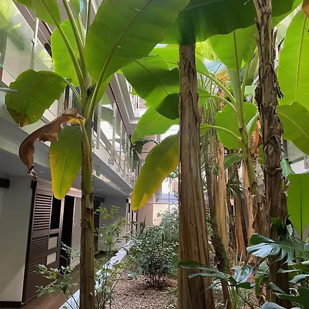Studio Vista